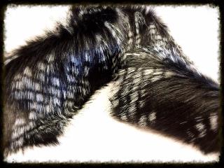 Hedgehog Siyah